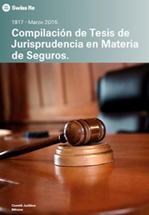 INSTRUCTIVO Y MANUAL DE LIQUIDACIÓN DE SEGUROS R Y R LIQUIDADORES. 