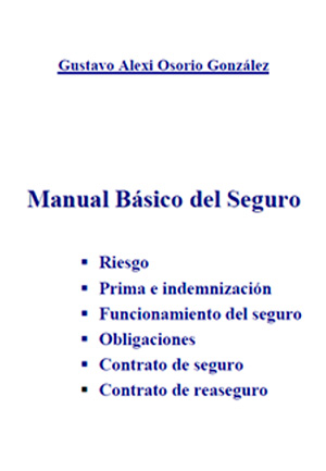 MANUAL BASICO DEL SEGURO