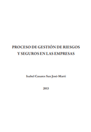 PROCESO DE GESTIÓN DE RIESGOS Y SEGUROS EN LAS EMPRESAS